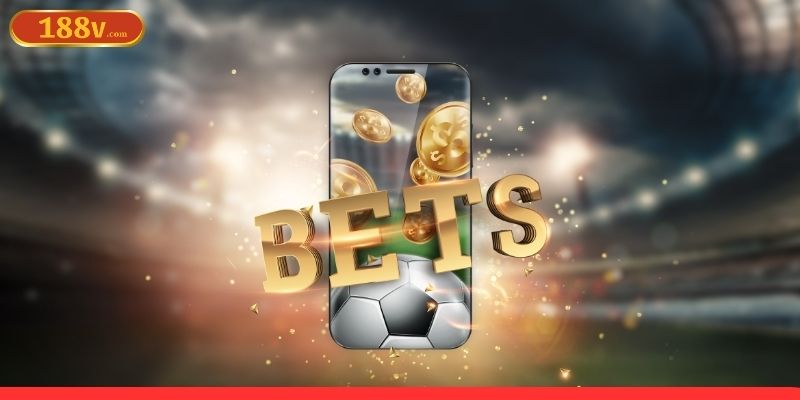 Khám phá các sảnh thể thao nổi bật nhất 2025